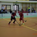 iirtun 6
